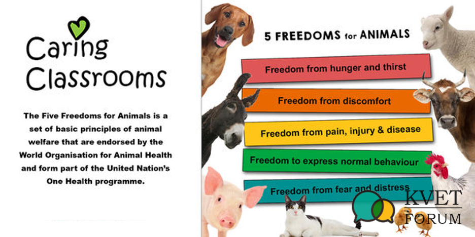 Five Freedoms for Animals.png