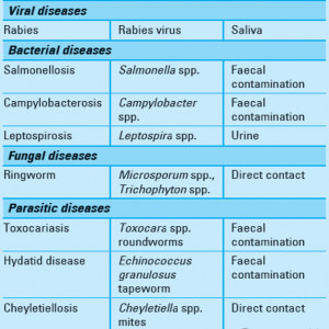 Examples of Zoonotic Diseases