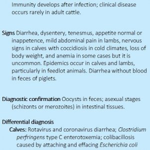 Coccidiosis - Cattle and Shoats