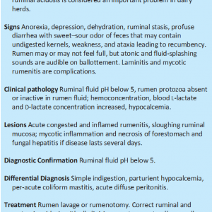 Lactic Acidosis