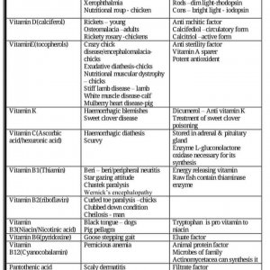 Vitamins & Their deficiencies.jpg