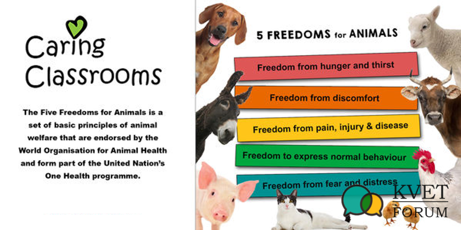 Five Freedoms for  | KVETFORUM | KVET FORUM