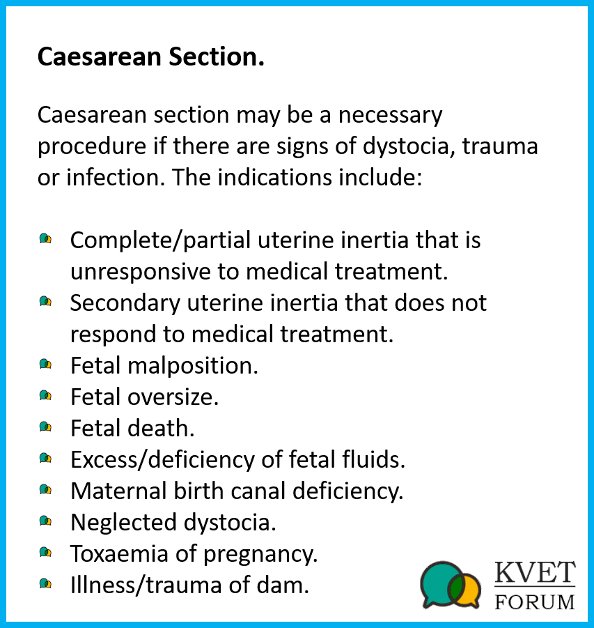 Caeserean Section.png