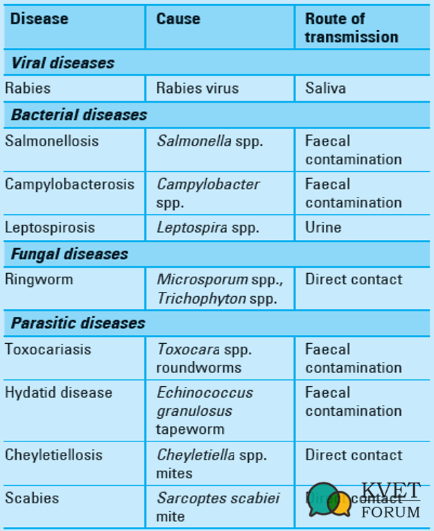 Examples of Zoonotic Diseases