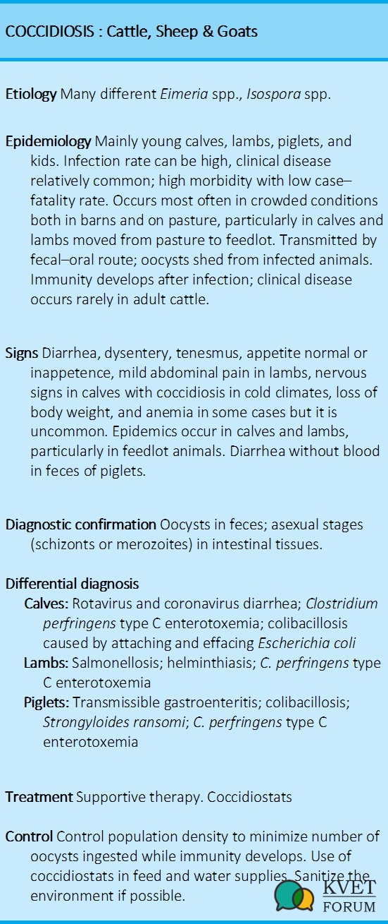 Coccidiosis - Cattle and Shoats