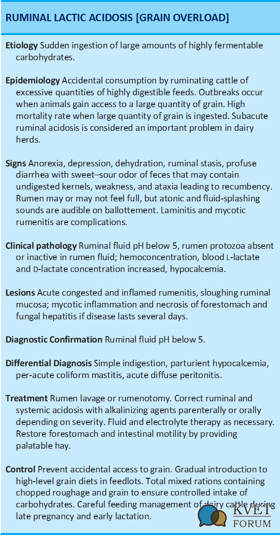 Lactic Acidosis