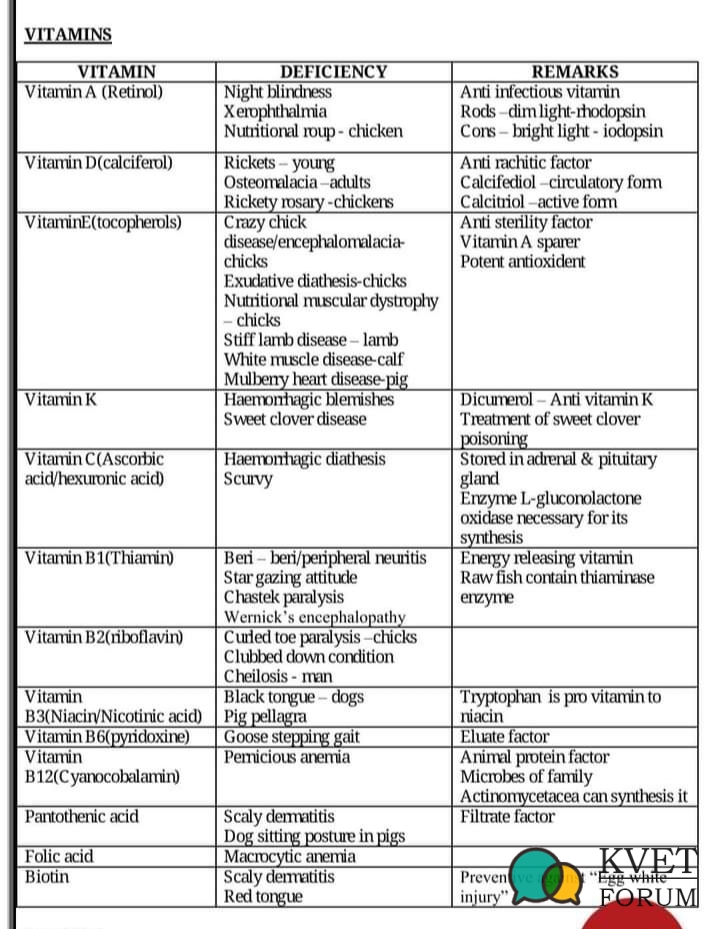 Vitamins & Their deficiencies.jpg